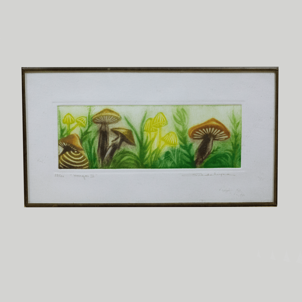 Small Signed Mushroom Drawing in Glass + Metal Frame